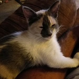 Meet your Posher, Samuel